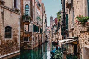 pexels-photo-586687.jpeg pexels-photo-586687.jpeg